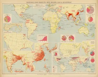 Pflanzliche Lebensmittelprodukte, Reis, Hirse, Sago und Buchweizen