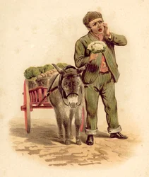 Gemüseverkäufer