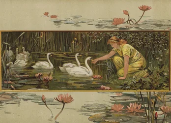 Wo die Seerosen wachsen