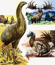 Montage von Wildtieren