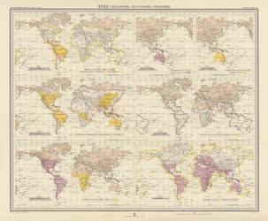 Zoogeographie: Aves, Rackenvögel, Papageienvögel, Eulen