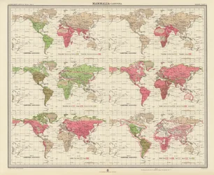 Zoogeographie: Säugetiere, Raubtiere (Farblithografie)