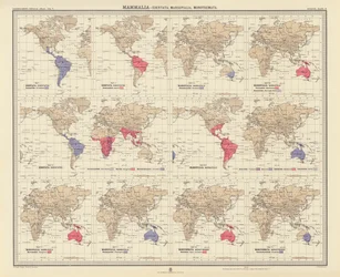 Zoogeographie: Säugetiere, Edentata, Beuteltiere, Kloakentiere