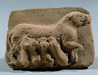 Eine Hündin, die ihre Welpen säugt