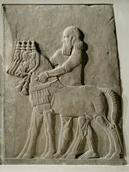 Ein Diener führt die königlichen Pferde