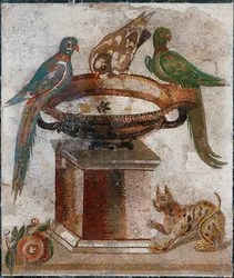Vögel trinken aus einem Vogelbad
