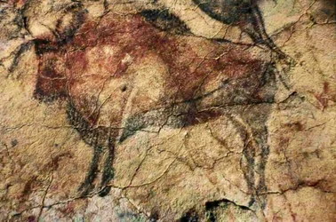 Bison. Höhlenmalerei aus Altamira, Santander, Spanien