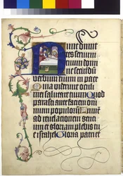 Vollseite: Text [Simeons Lobgesang] mit historisierter Initiale N und Ranken: Darstellung Jesu im Tempel