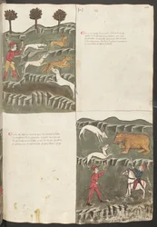 Ganzseitig: Text und Miniaturen: "Carne le lepore" - Hasen- und Fuchsjagd: "Carne de orso" - Bärenjagd