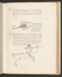 Vollseite: Text mit Tierkreiszeichen: 