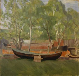 Boot auf dem Land
