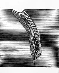 Zebra-Optische Täuschung