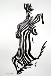 Zebra Gestreifter Akt