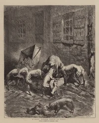 Ein Hundedinner in Paris