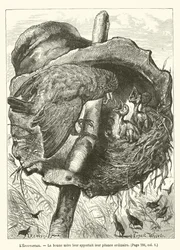 LEpouvantail, Die gute Mutter brachte ihnen ihre übliche Mahlzeit