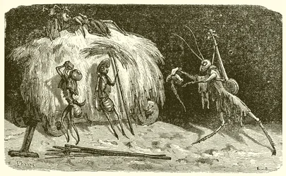 Die Ameisen und die Heuschrecke