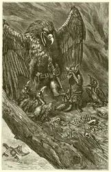 Der Adler und der Fuchs