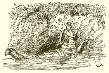 Der Fuchs und der Igel