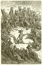 Der Fuchs ohne Schwanz