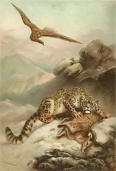Der Schneeleopard und der Adler