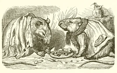 Die Stadtmaus und das Land