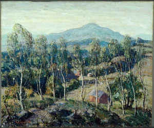 Birken in Neuengland