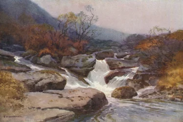 Ein Dartmoor-Bach