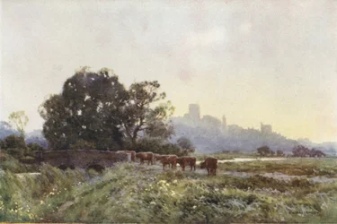 Dorchester von den Wiesen