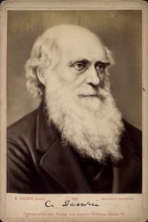 Charles Darwin, britischer Naturforscher