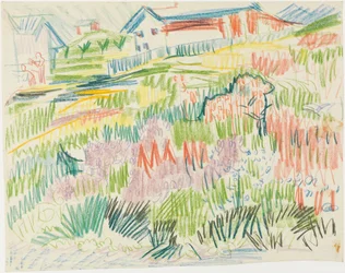 Blumenwiese mit Häusern