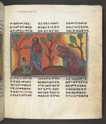 Or. 607 f174r, Szene aus dem Leben der Jungfrau Maria, aus 