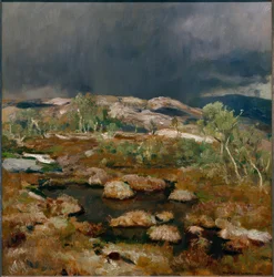 Regenschauer im Norwegischen Hochmoor