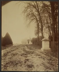 Versailles, der Park (Allee im Park von Versailles)