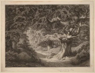 Charlemagne (Wald von Fontainebleau)