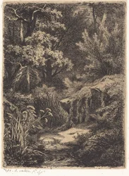 Der kleine Bach