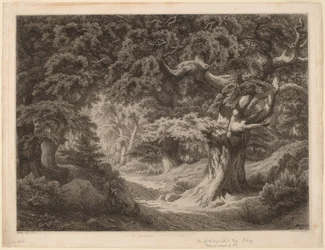 Der Karl der Große (Wald von Fontainebleau)