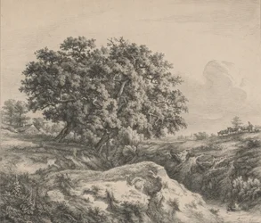 Die Eiche am Abgrund