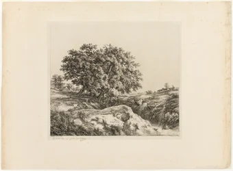 Das Bouquet der Bäume, oder Die Linden (Erinnerung an die Sarthe)