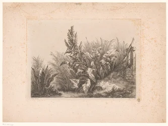 Wasserampfer und Schilf am Ufer (Études dessinées et Gravées D
