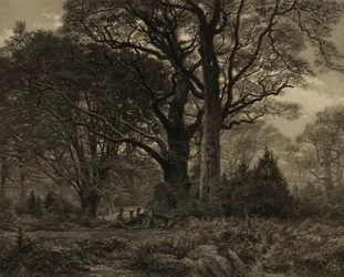 Wald von Fontainebleau