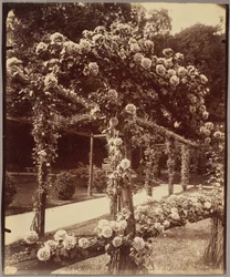 [Jardin de Bagatelle]