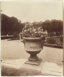 Versailles, Vase von Ballin, 1902