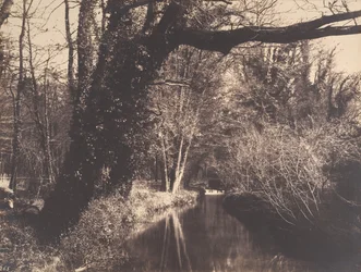 Parc de Courances, 1860-70