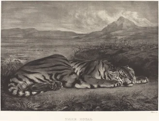 Königlicher Tiger, 1829