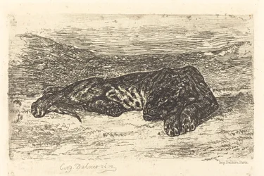 Tiger schläft in der Wüste, 1846