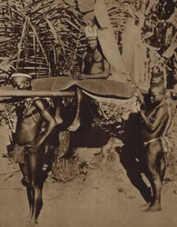 Häuptling eines afrikanischen Pygmäenstammes wird auf einer Sänfte getragen (s/w Foto)