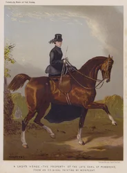 Das Pferd einer Dame, Eigentum des verstorbenen Earl of Pembroke