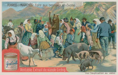 Tiermarkt in Sizilien