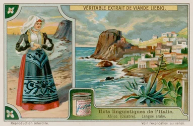 Arabisch sprechender Africo