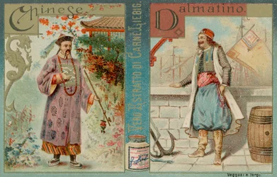 Chinese und Dalmatiner